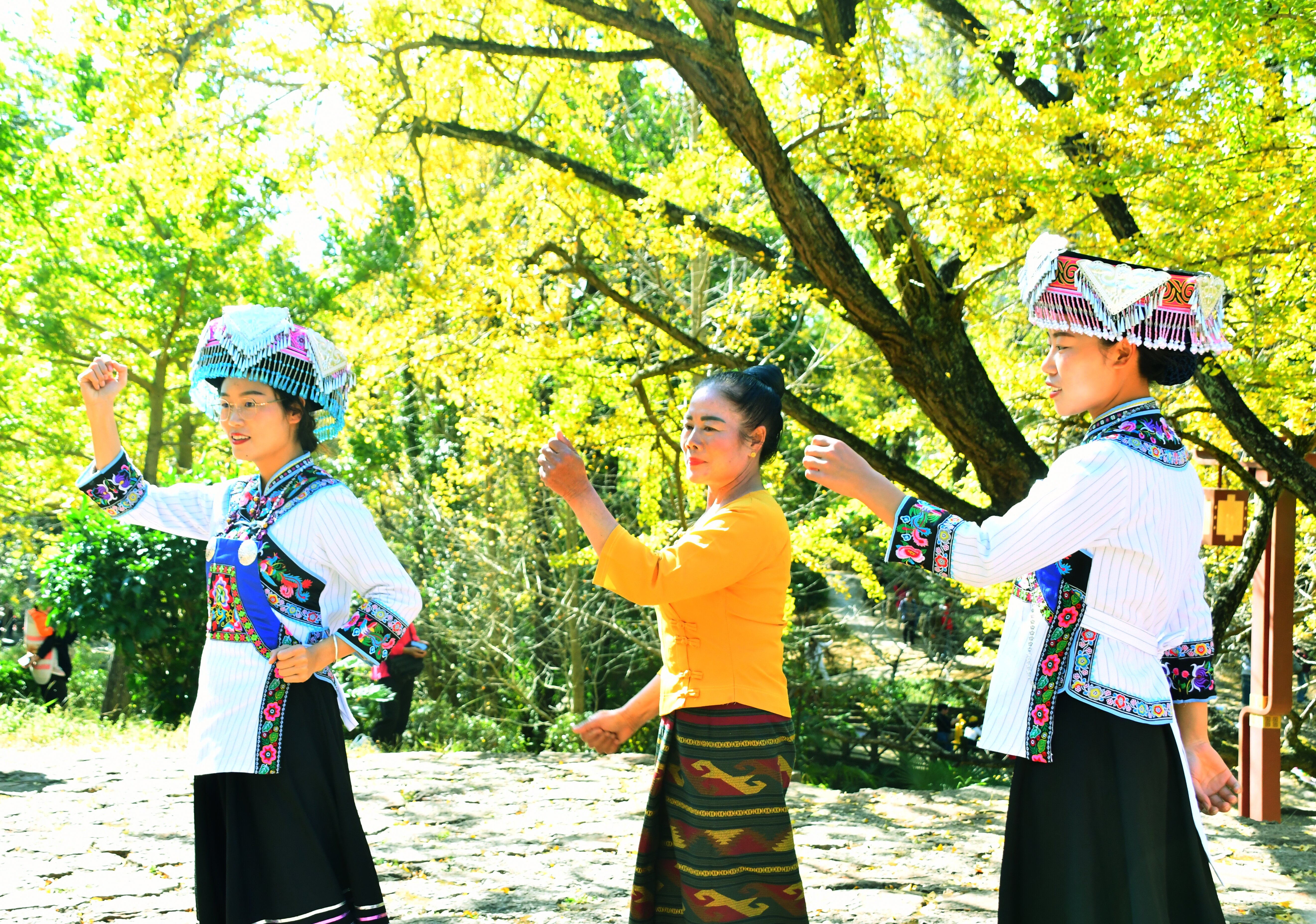 与云南西双版纳旅游团合跳舞蹈 (3).JPG